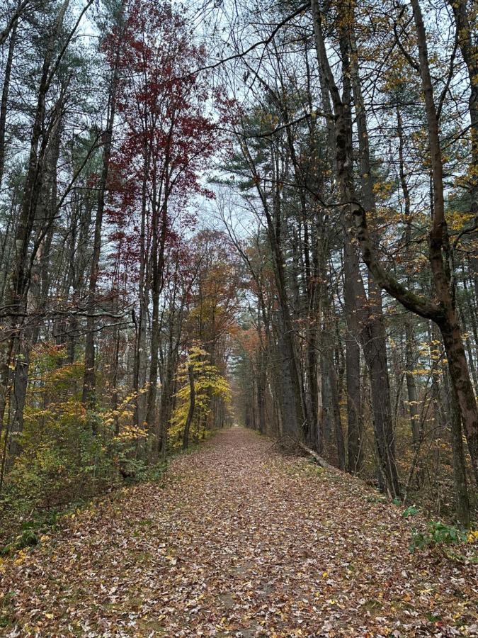 Escape To A Streamside In The Lower Catskills * Wurtsboro